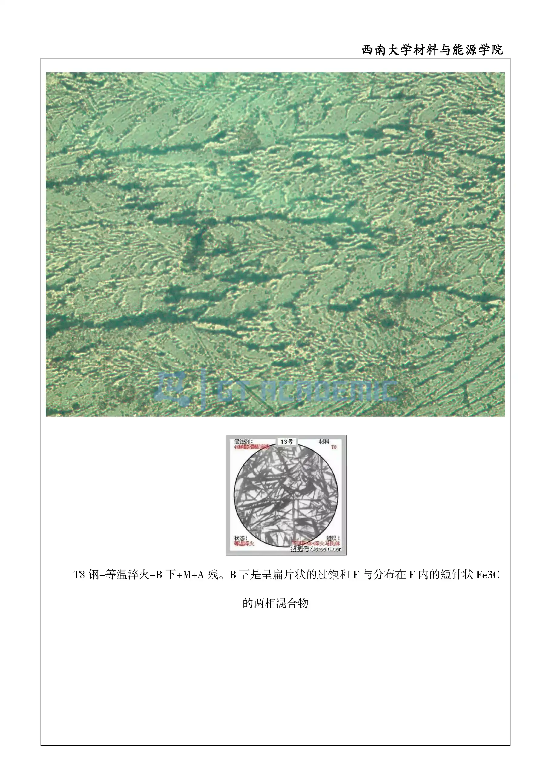 实验报告-不同碳含量的铁碳合金观察_页面_7.webp