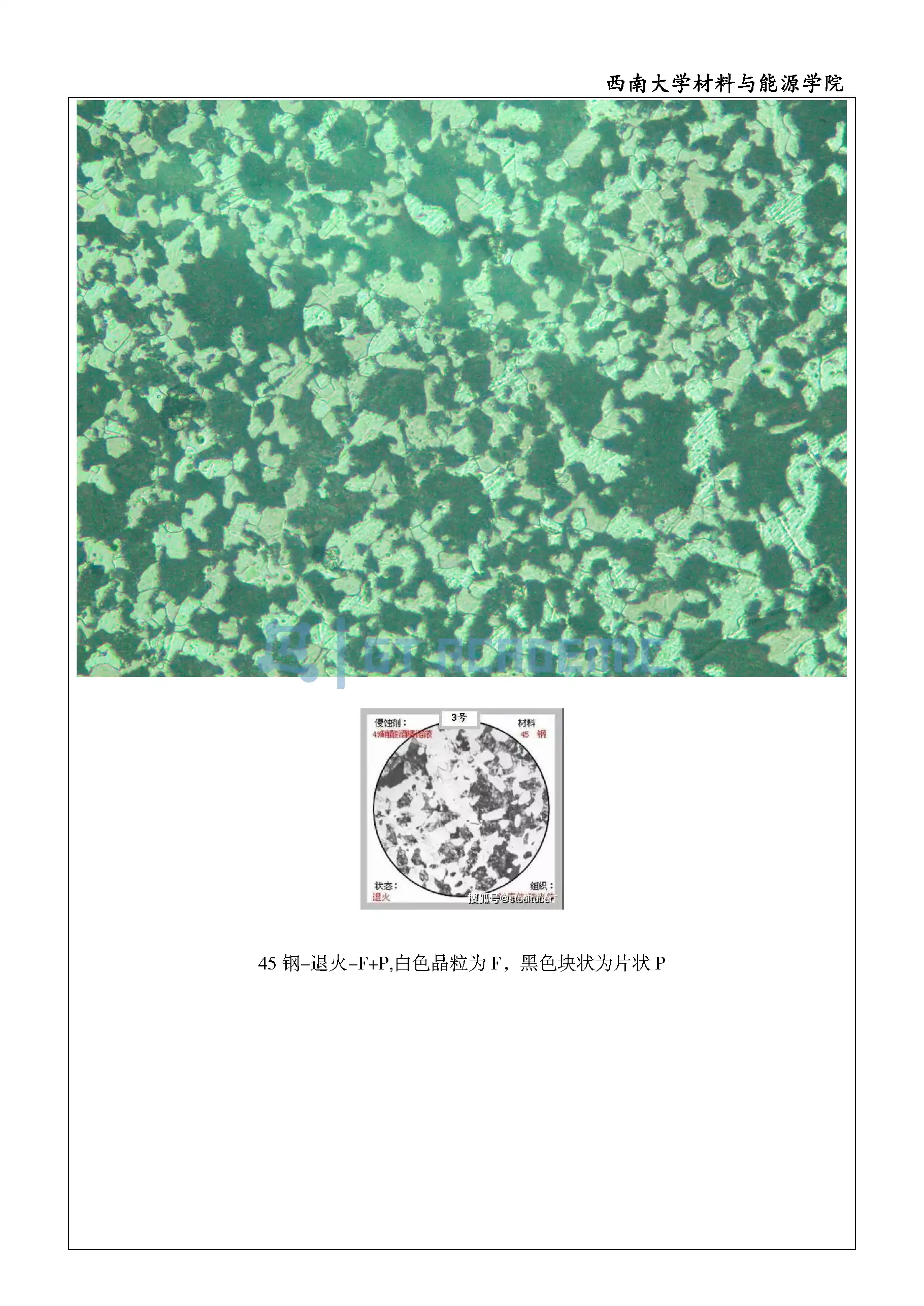 实验报告-不同碳含量的铁碳合金观察_页面_3.webp