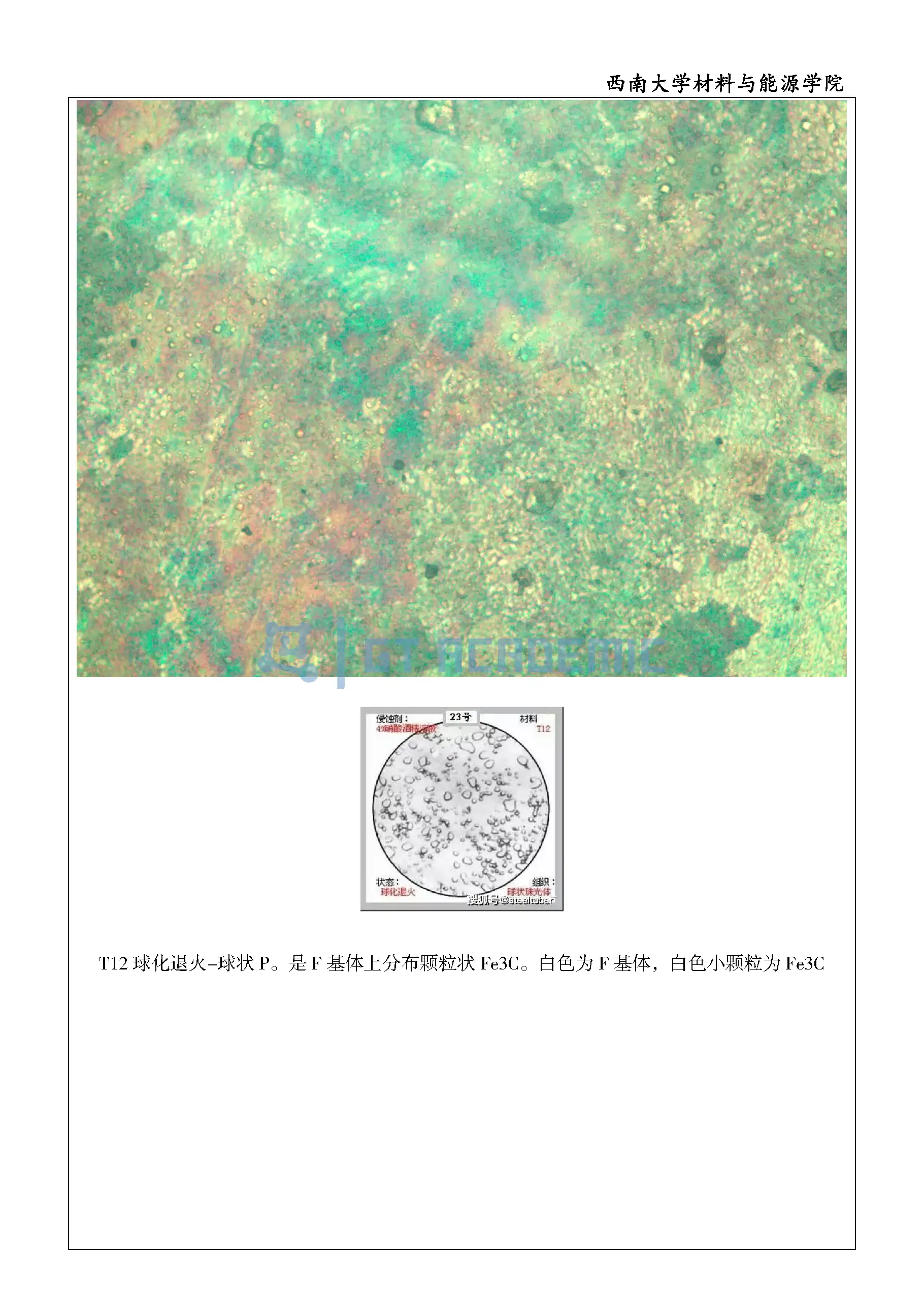 实验报告-不同碳含量的铁碳合金观察_页面_4.webp