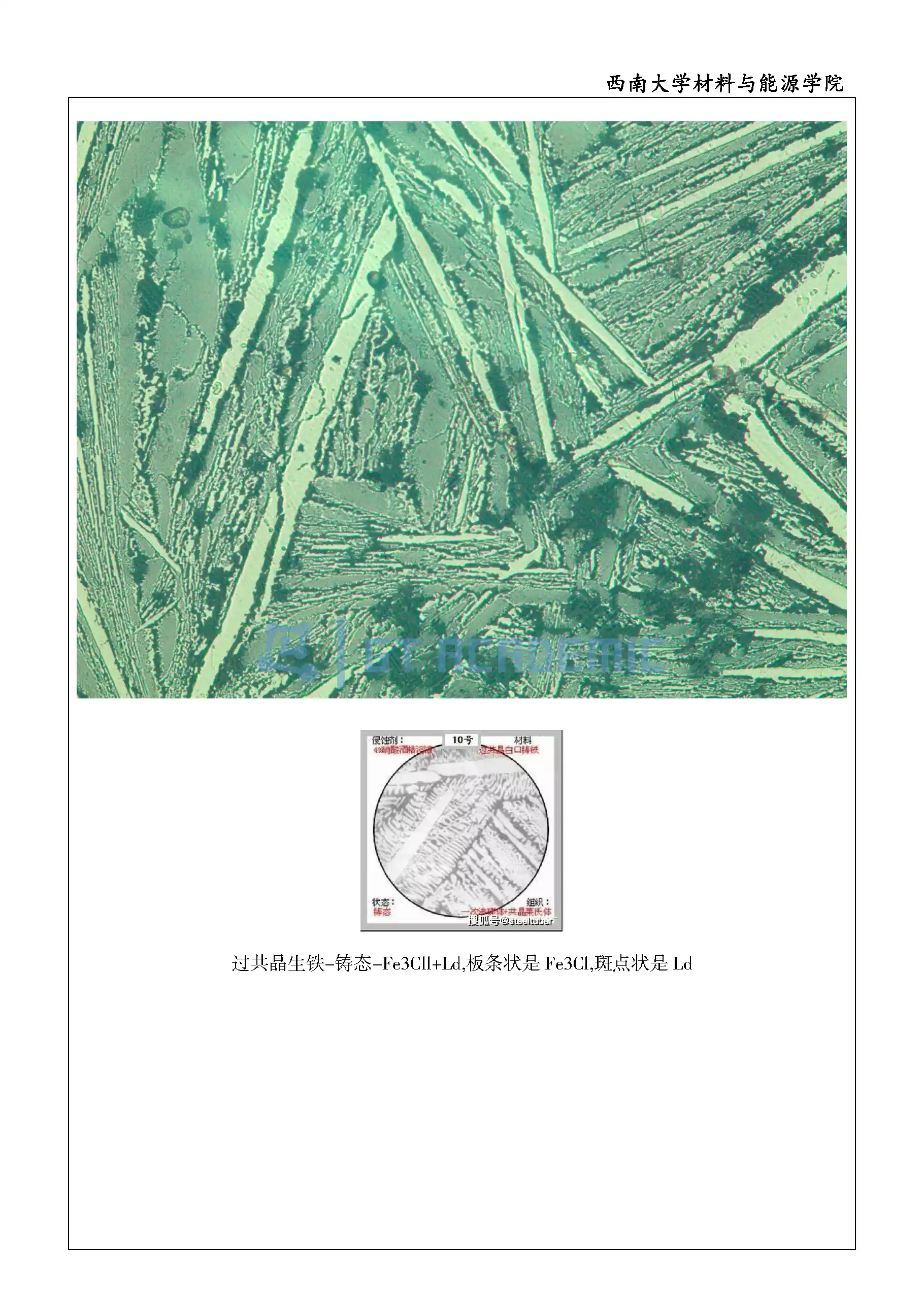 实验报告-不同碳含量的铁碳合金观察_页面_8.webp