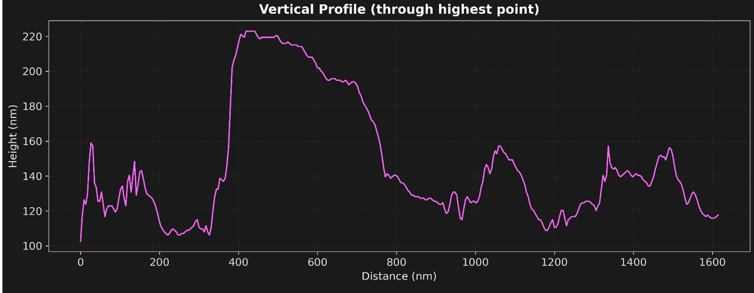 图5_竖直截面分析.png 图5_竖直截面分析.png