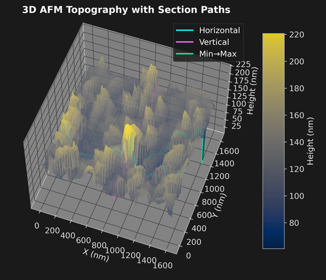 图2_样本的表面形貌示意图.png 图2_样本的表面形貌示意图.png