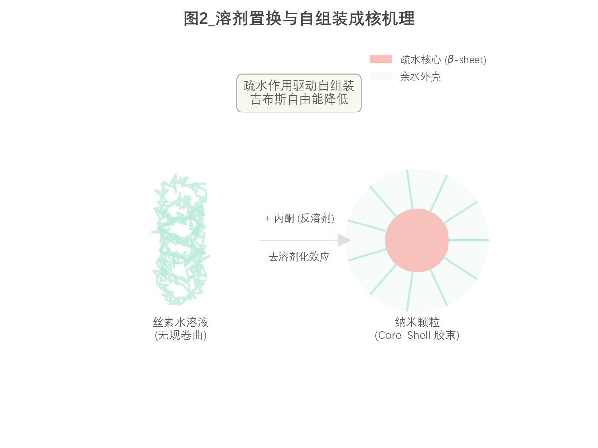 图2_自组装成核机理.png