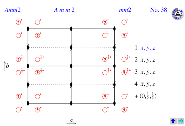 图片3_Amm2.png