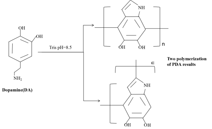 图片8_多巴胺分子链.png